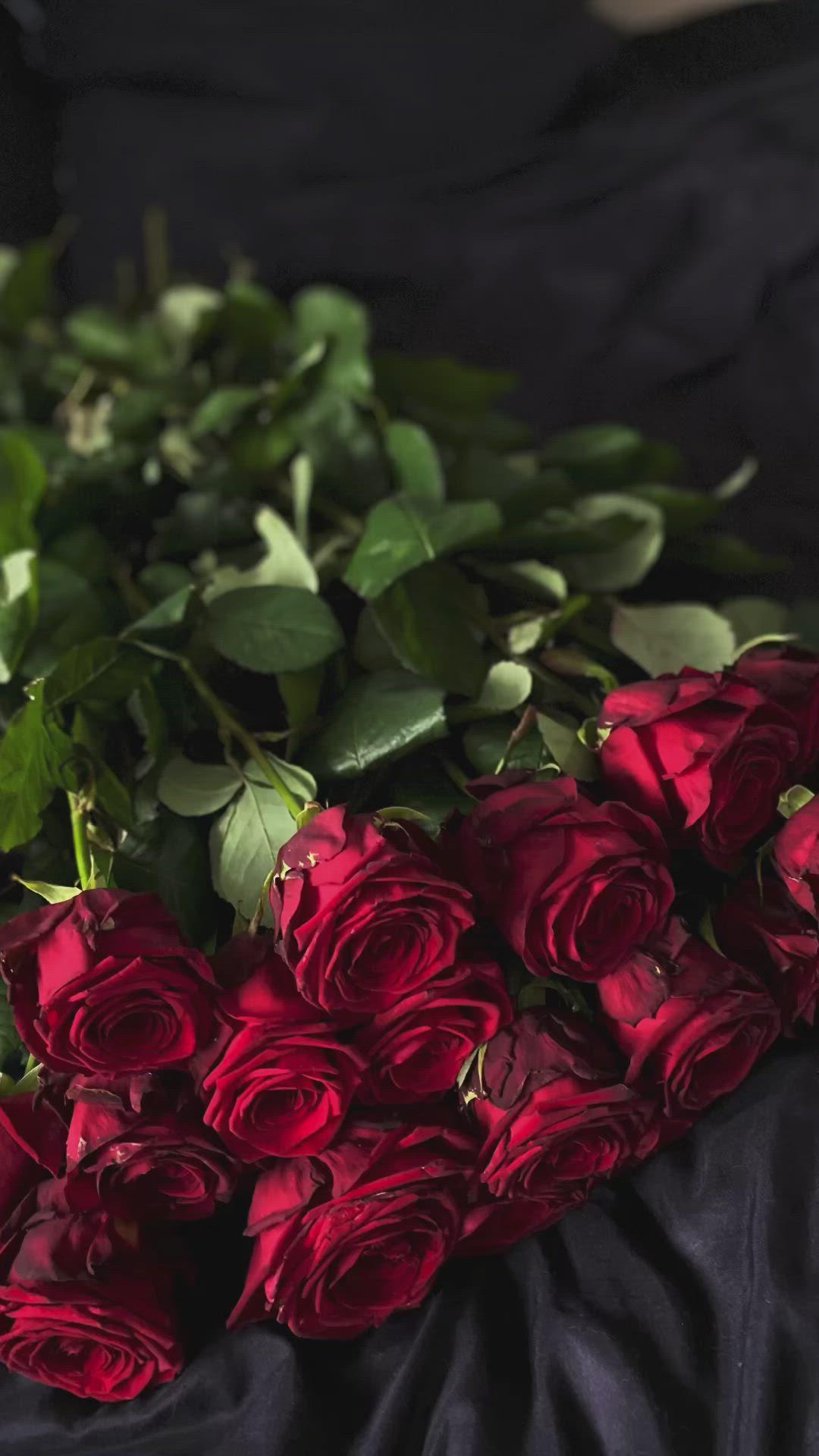 Velvet Touch: Luxurious Tints of Nature's Palette